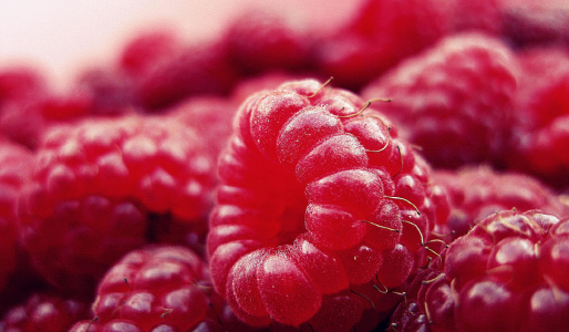 Himbeeren vom Sonnenbühlhof Fellbach